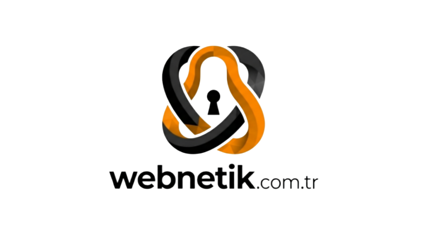 Webnetik Logo